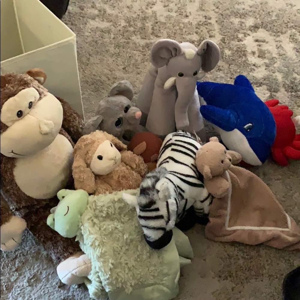 Stuffed animal